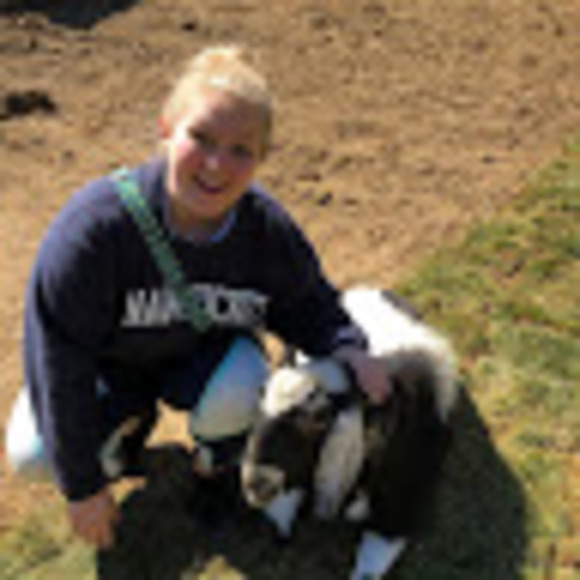 Meet your Posher, Lilli - Picture 1 of 1